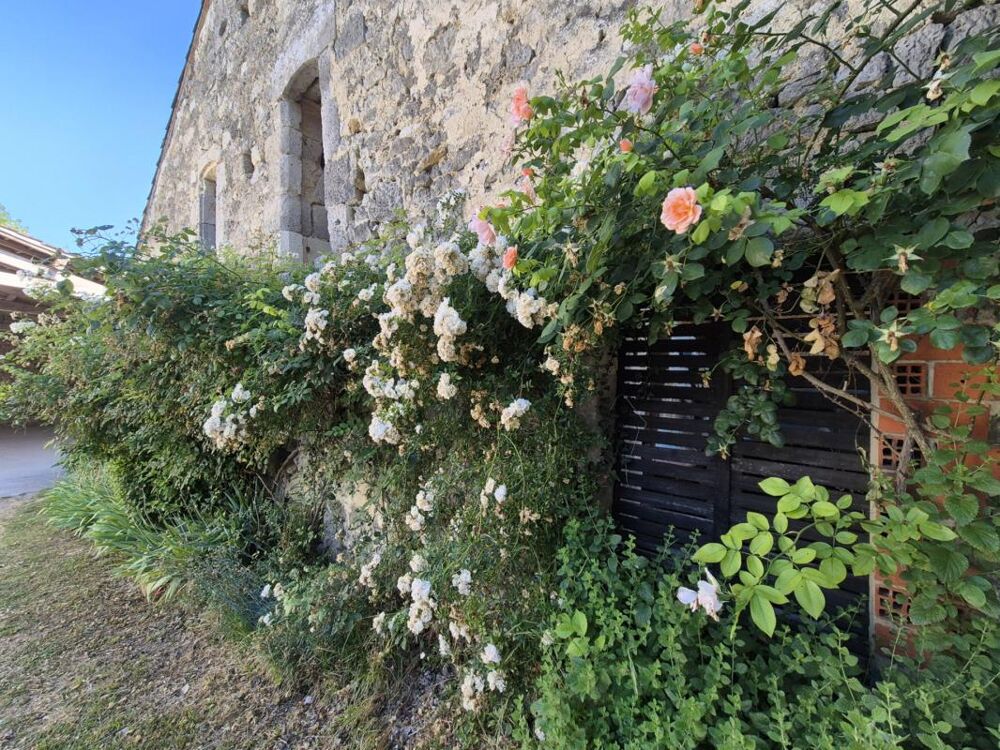 Vente Maison Propriété sur 1,3 hectare boisé entre Condom (32100) et Nérac (47600) Lasserre