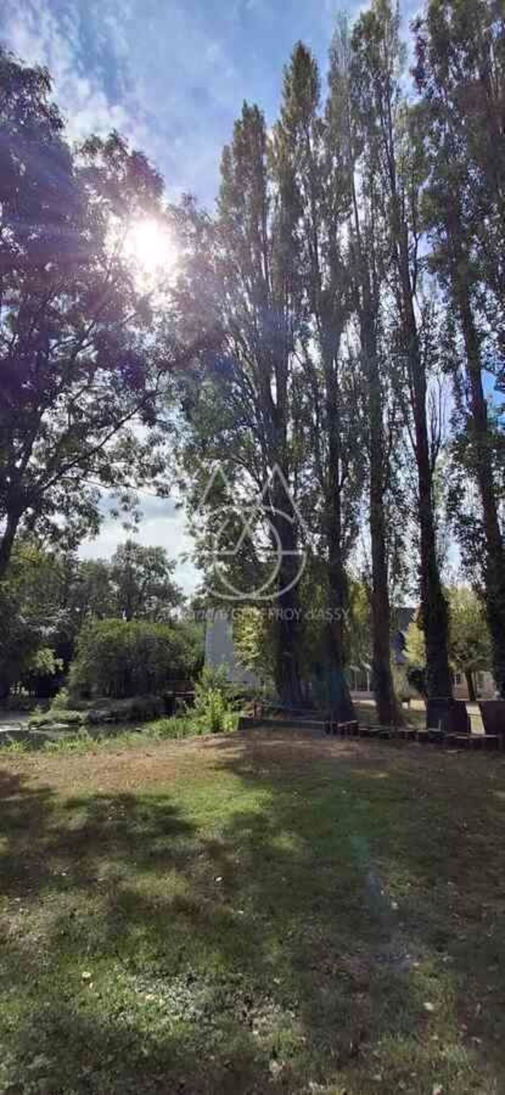 à vendre  Propriété/château Vernou-sur-Brenne (37210)