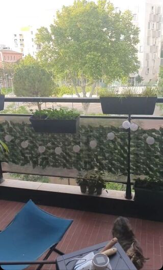  Appartement à louer 3 pièces 70 m² Marseille 03