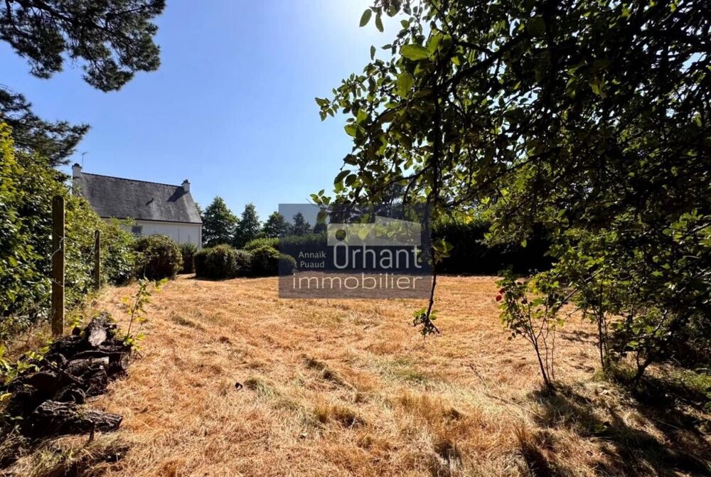 Vente Terrain Grand terrain constructible libre de constructeur  1150m² – Pluneret