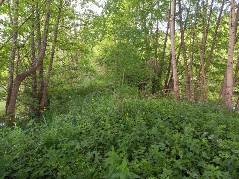 Vente Terrain Terrain à vendre de 405,00 m² Proche de COURTEMAUX (45320) Courtemaux