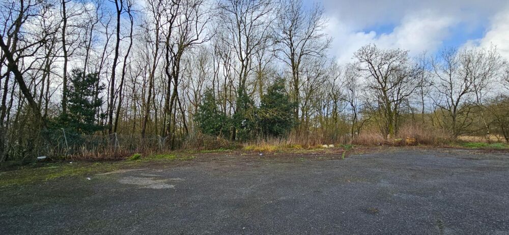 Vente Terrain EXCLUSIVITE Terrain de loisir 5000 m² Chaniers
