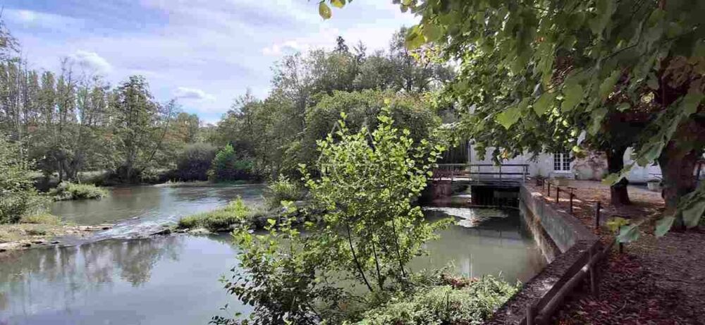à vendre  Propriété/château Vernou-sur-Brenne (37210)