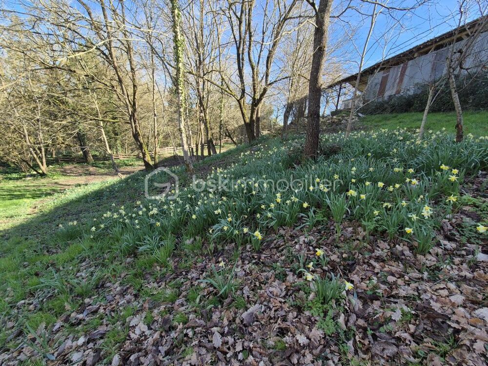 � vendre  Propri�t�/ch�teau Saint-Clar (32380)