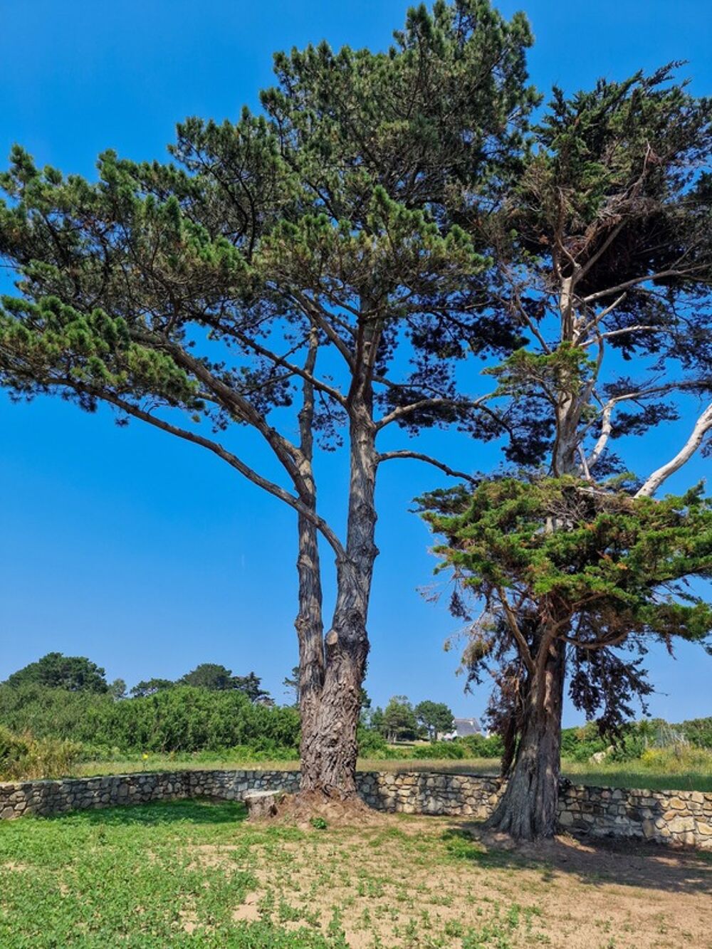 � vendre  Propri�t�/ch�teau Plougrescant (22820)