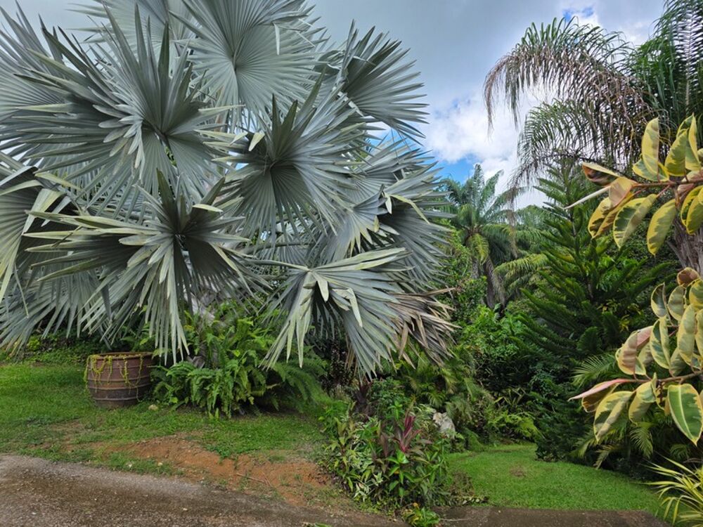 � vendre  Villa Baie-Mahault (97122)