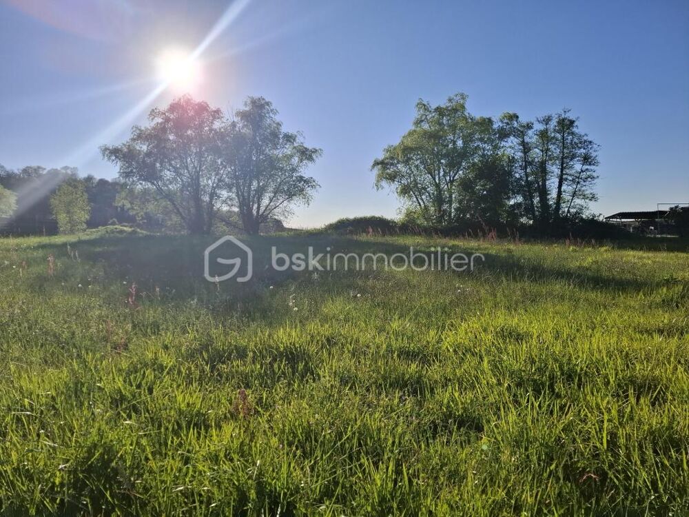 Vente Terrain Terrain à bâtir 2055 m² – A proximité de Castillon-La-Bataille Castillon la bataille