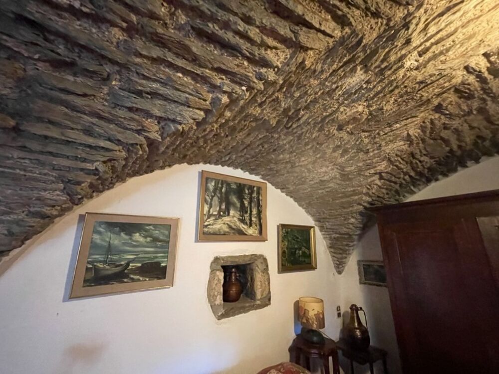 Maison 14 pièces 407 m² · à Le Collet de Deze · 407 m² · 620 000 €