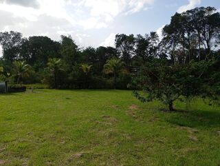 Terrain � vendre 10000 m�