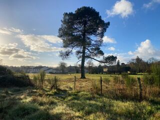  Terrain à vendre 7500 m²