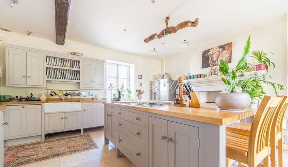 à vendre  Propriété/château Langeais (37130)