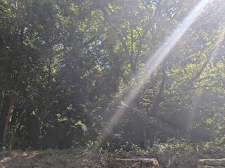  Maison � vendre 1 pi�ce 1 m�