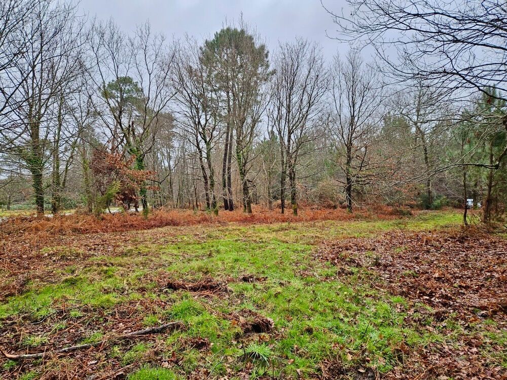 Vente Terrain Terrain route de Contis Saint julien en born
