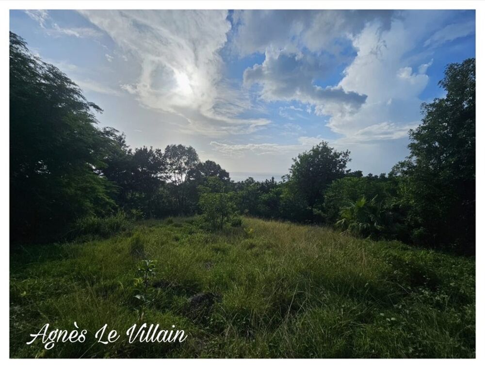 Vente Terrain Terrain 2 983 m2 à Bouillante Bouillante