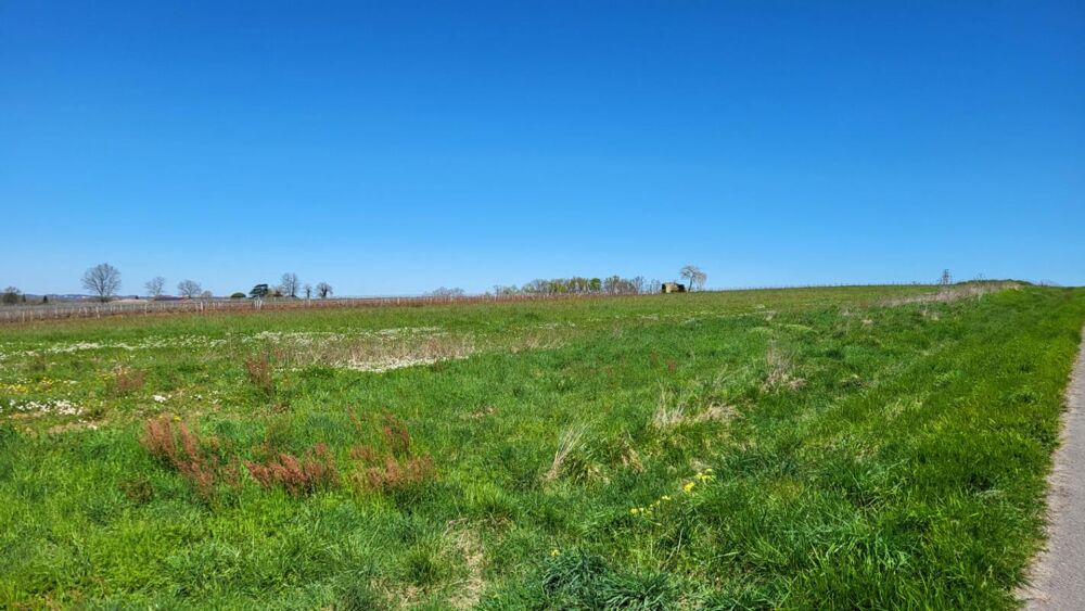 Vente Terrain 33220 proche Pineuilh Terrain pour reboisement  d'une superficie de 6ha 37 avec contrat Pineuilh