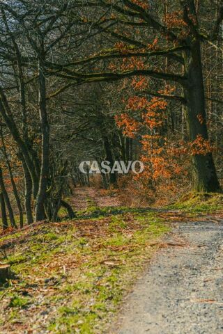  Parking / Garage � vendre 5167 m�