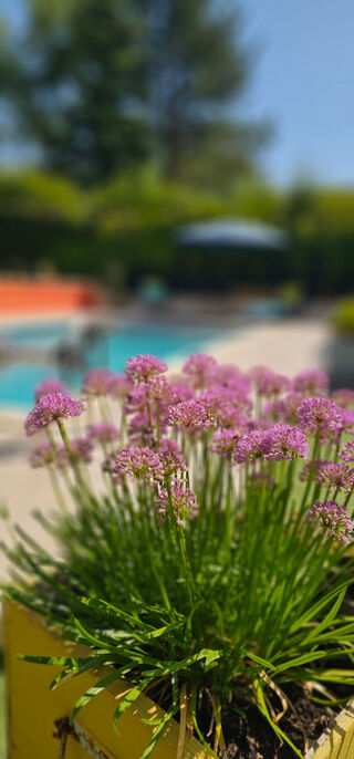  Maison � vendre 4 pi�ces 126 m�