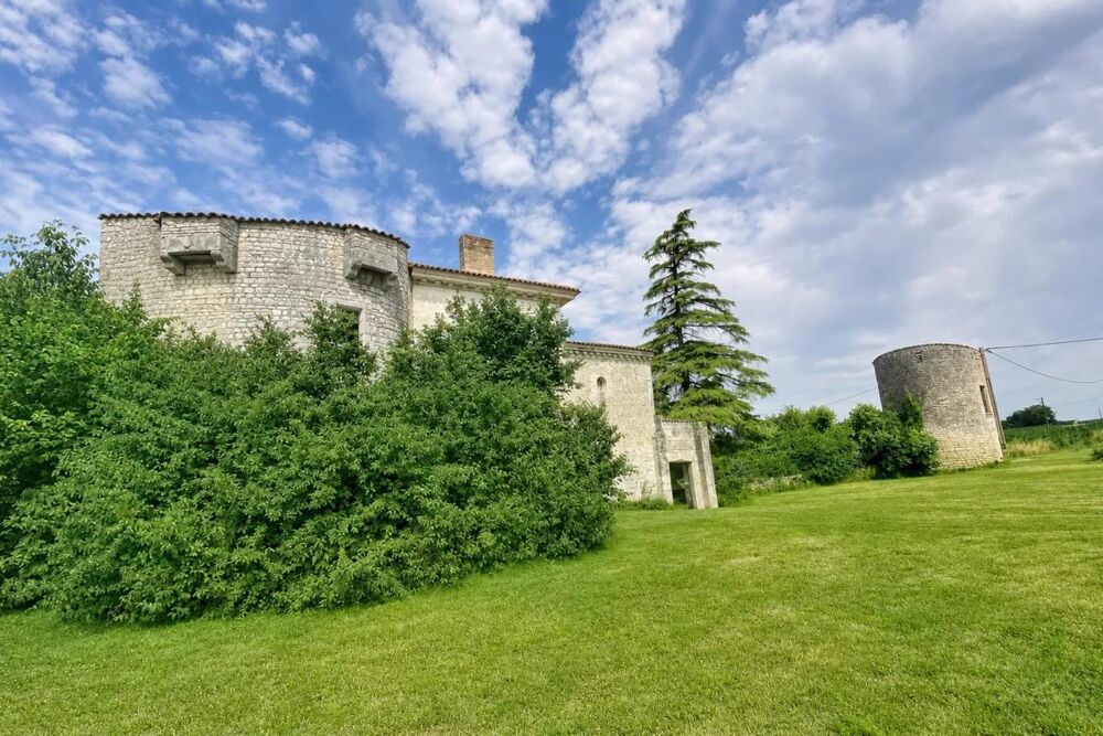 Ancien château de 7 pièces de 400 m² à Saint-Savinien