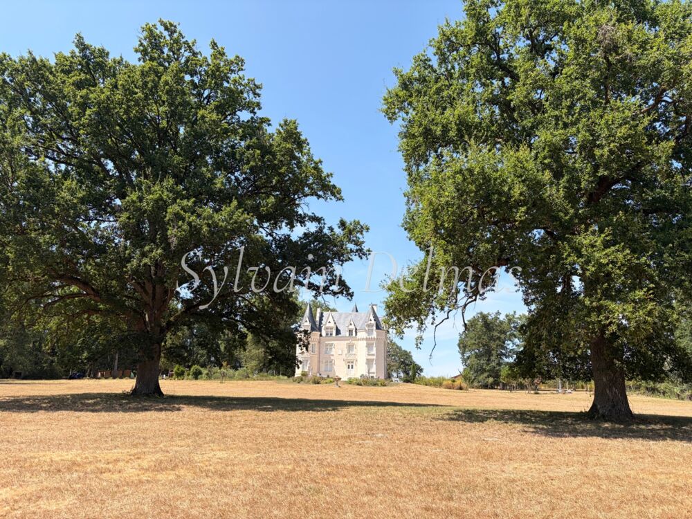 à vendre  Propriété/château Loches (37600)