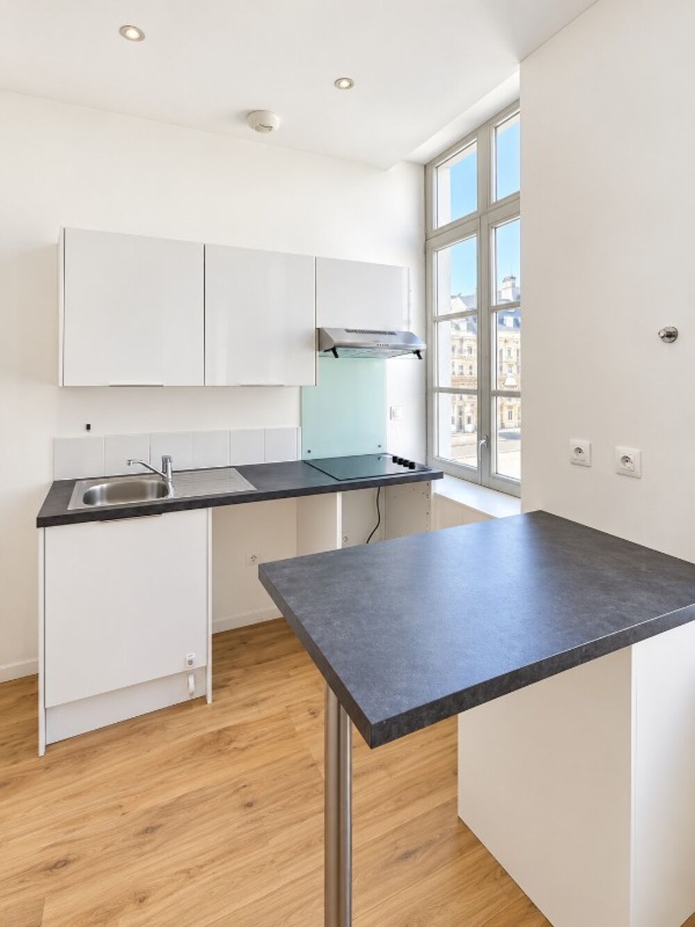 Appartement T3 à Lille