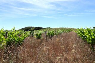  Terrain � vendre 54432 m�