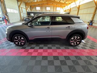 C4 cactus Shine 2019 occasion 56120 Les Forges De Lanouee