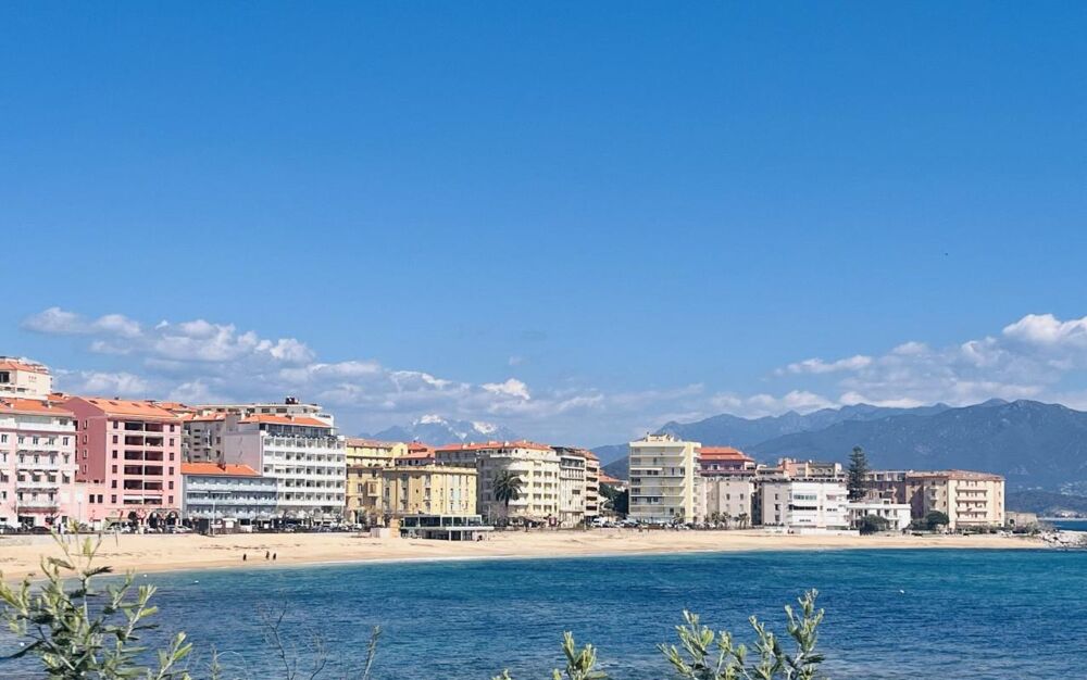 Vente Appartement A VENDRE APPARTEMENT F2 PARC BERTHAULT Ajaccio