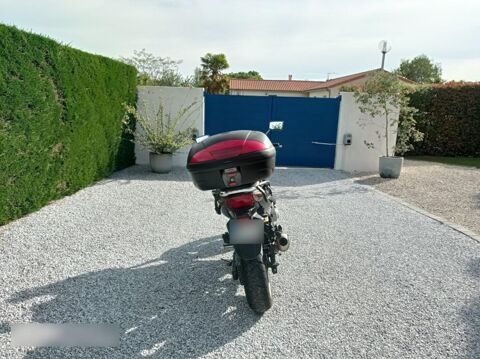 HONDA 2008 occasion 79250 Nueil Les Aubiers