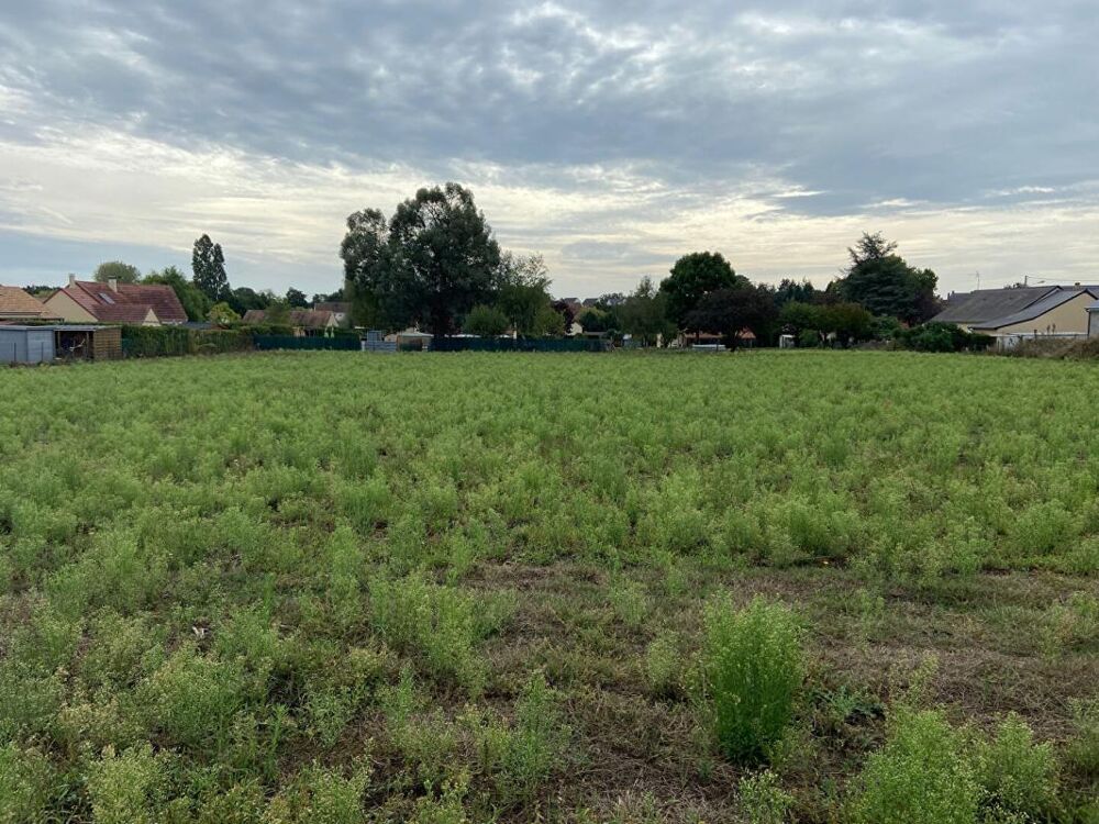 Vente Terrain Terrain La Chapelle D Aligne 4421 m2 La chapelle d aligne