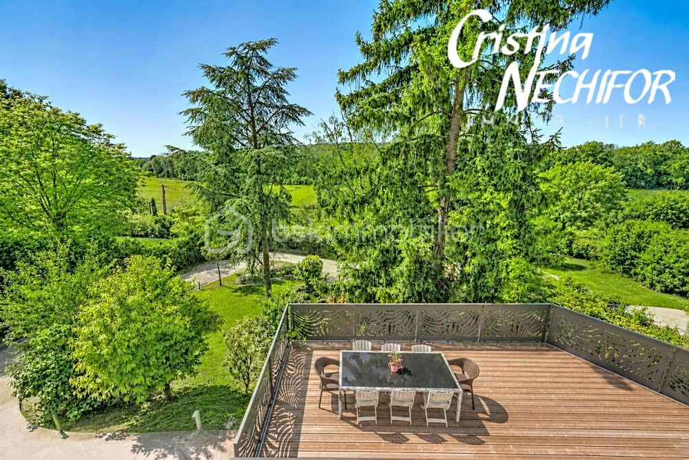à vendre  Propriété/château Chessy (77700)