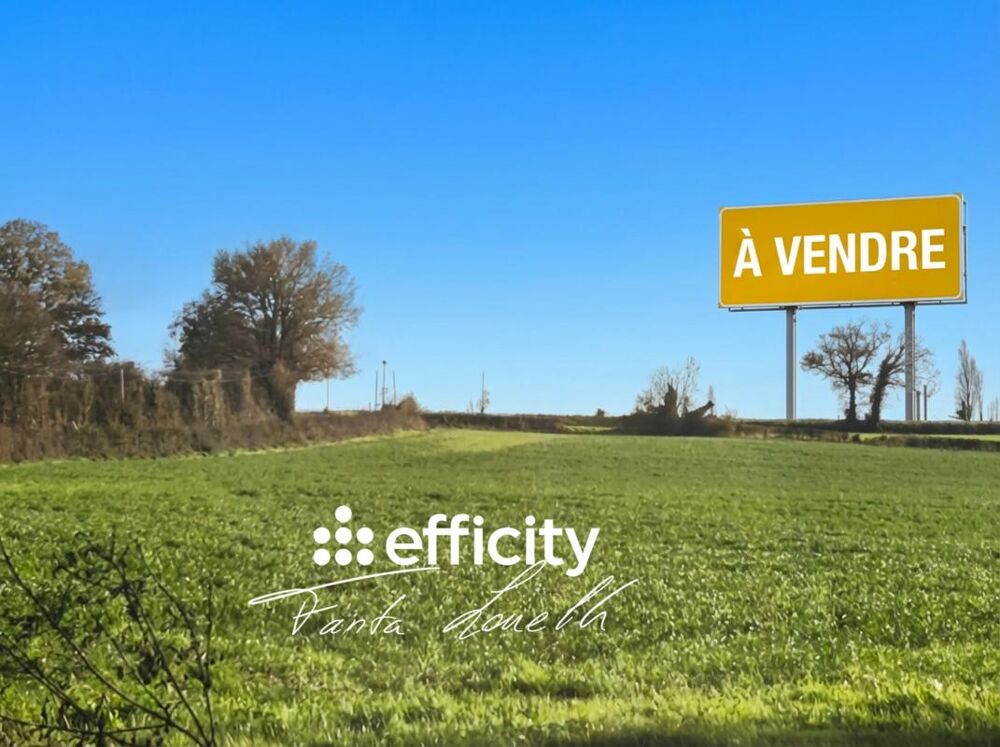 Vente Terrain Terrain Saint martin des fontaines