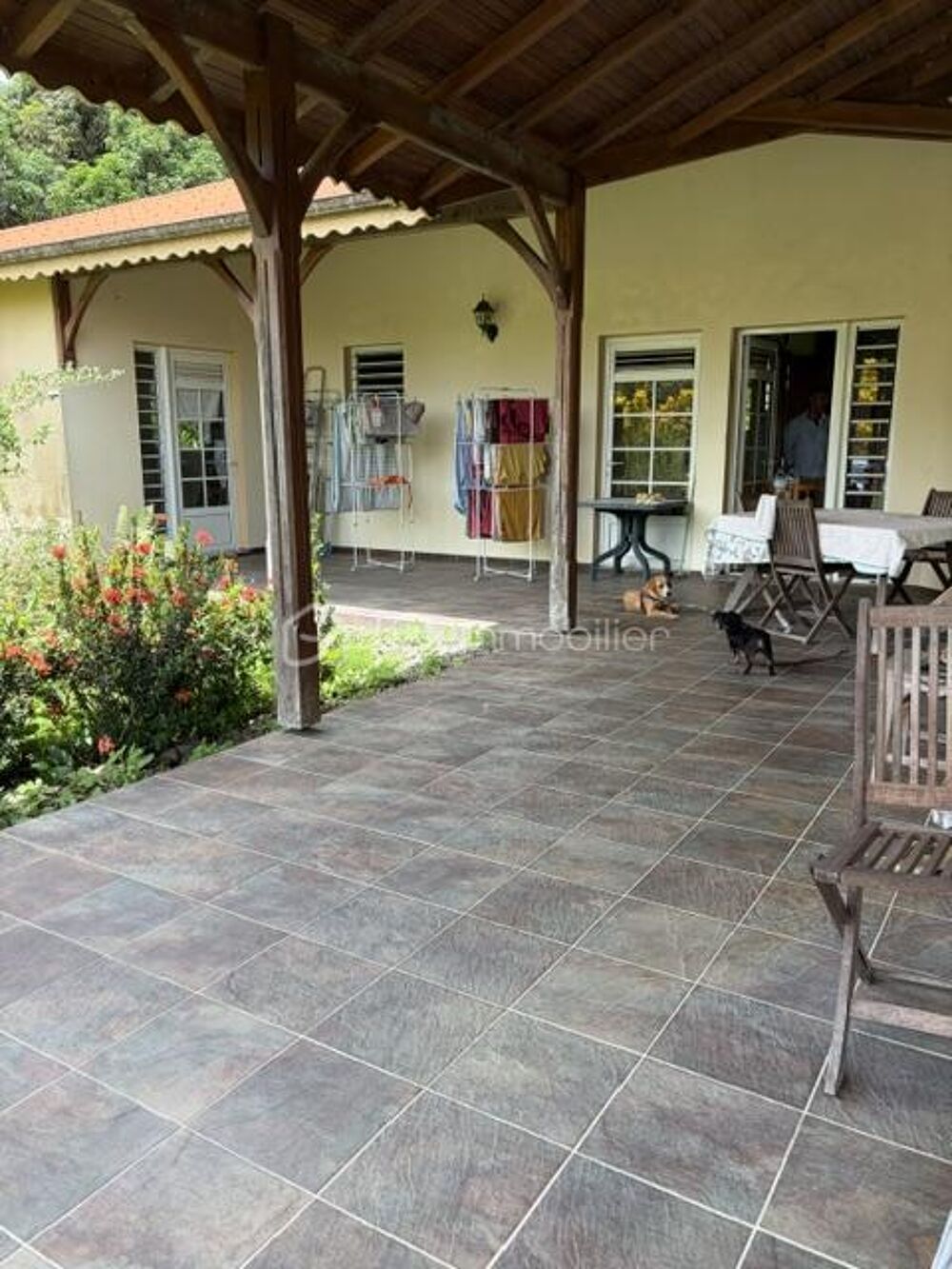 Vente Maison Exclusivité ! Basse pointe