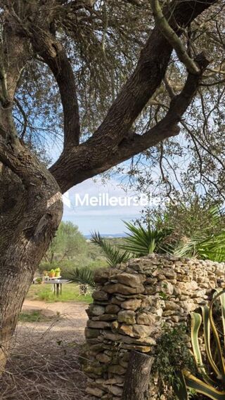  Propri�t�/ch�teau � vendre 420 m�