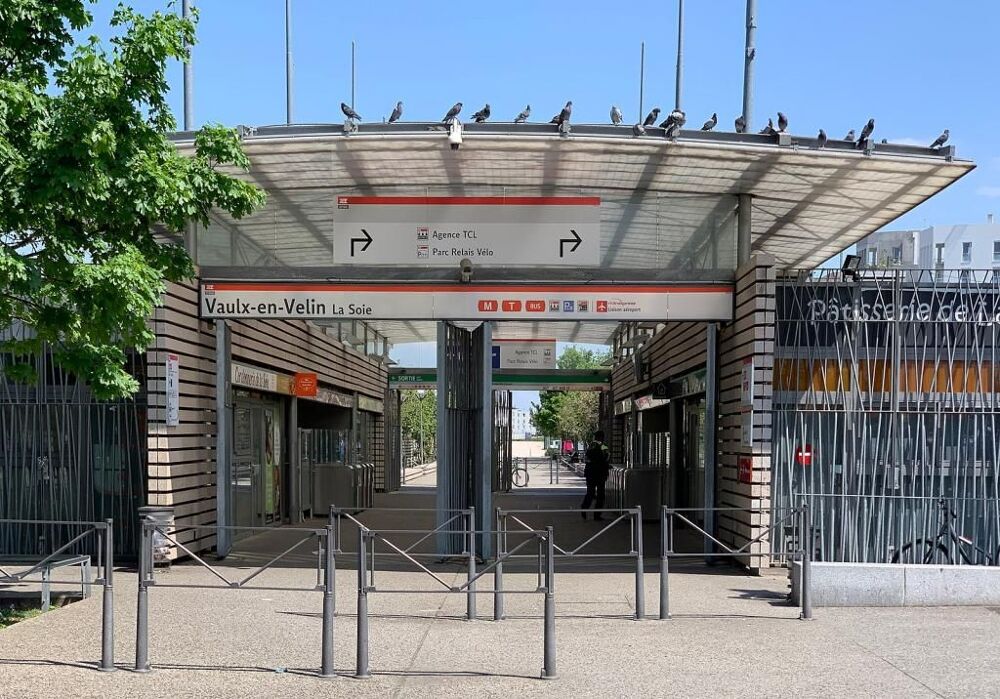 Location Appartement Chambre de 17m2 à louer sur Villeurbanne Villeurbanne