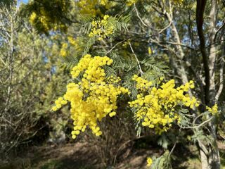  Terrain � vendre 975 m�