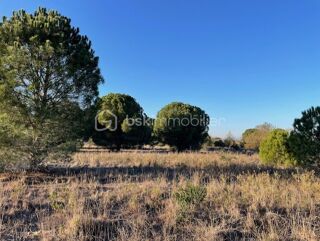  Terrain � vendre 2279 m�