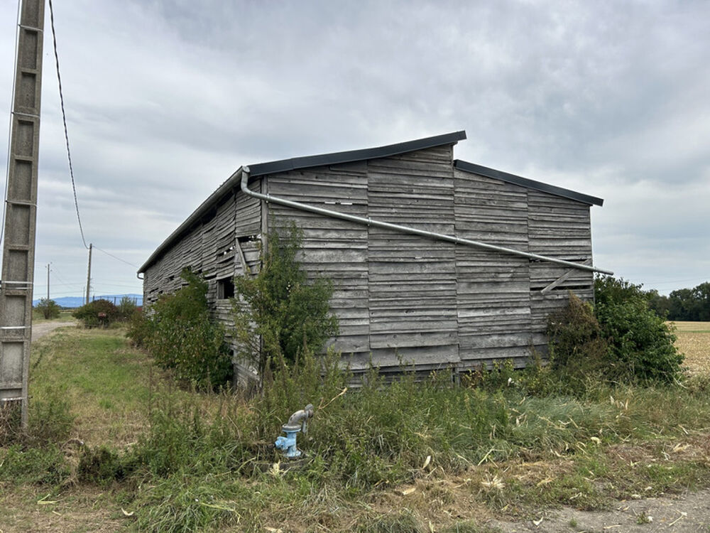 Vente Autre ENTRAIGUES (63) ancien séchoir de 220 m2 sur 709 m2 de terrain Entraigues