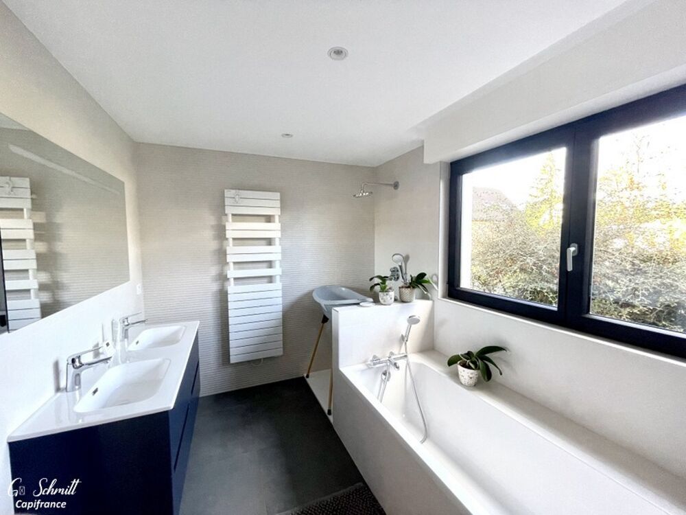  vendre  Maison Horbourg-Wihr (68180)