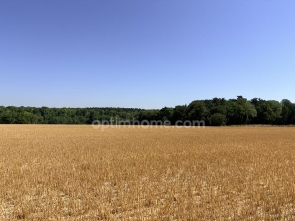 Vente Terrain MERIEL 95 - 980m² de terrain plat devant réserve naturelle avec permis Meriel