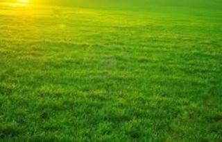  Terrain  vendre 1500 m