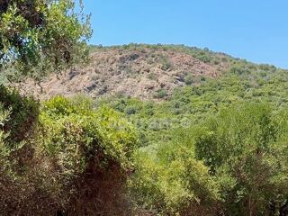  Terrain � vendre 3380 m�