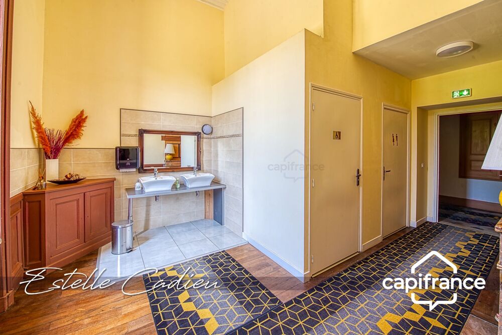 à vendre  Propriété/château Chantonnay (85110)