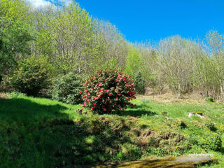  Maison � vendre 8 pi�ces 280 m�