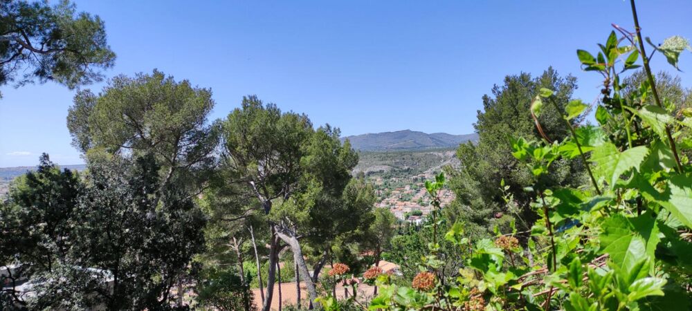 � vendre  Propri�t�/ch�teau Allauch (13190)