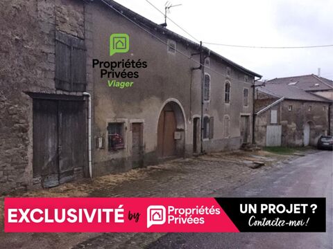   Maison Viomenil 14 pi�ce(s) 230 m2, EN VIAGER OCCUP�! Maison - 14 pi�ce(s) - 230 m�
