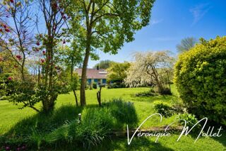  Maison à vendre 6 pièces 251 m²