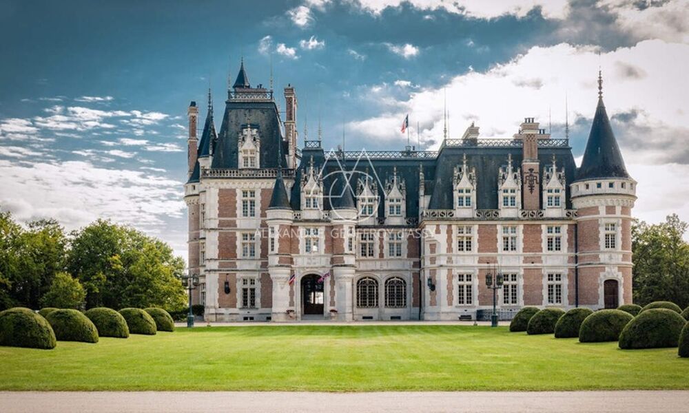 Vente Propri�t�/Ch�teau Au c�ur de la Sologne, Un ch�teau d'inspiration n�ogothique et Renaissance, de 3000 m2 sur un 53ha Vierzon