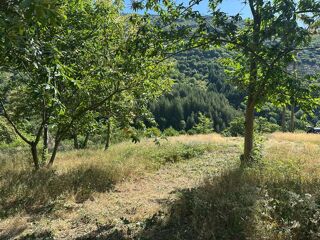  Terrain à vendre 957 m²