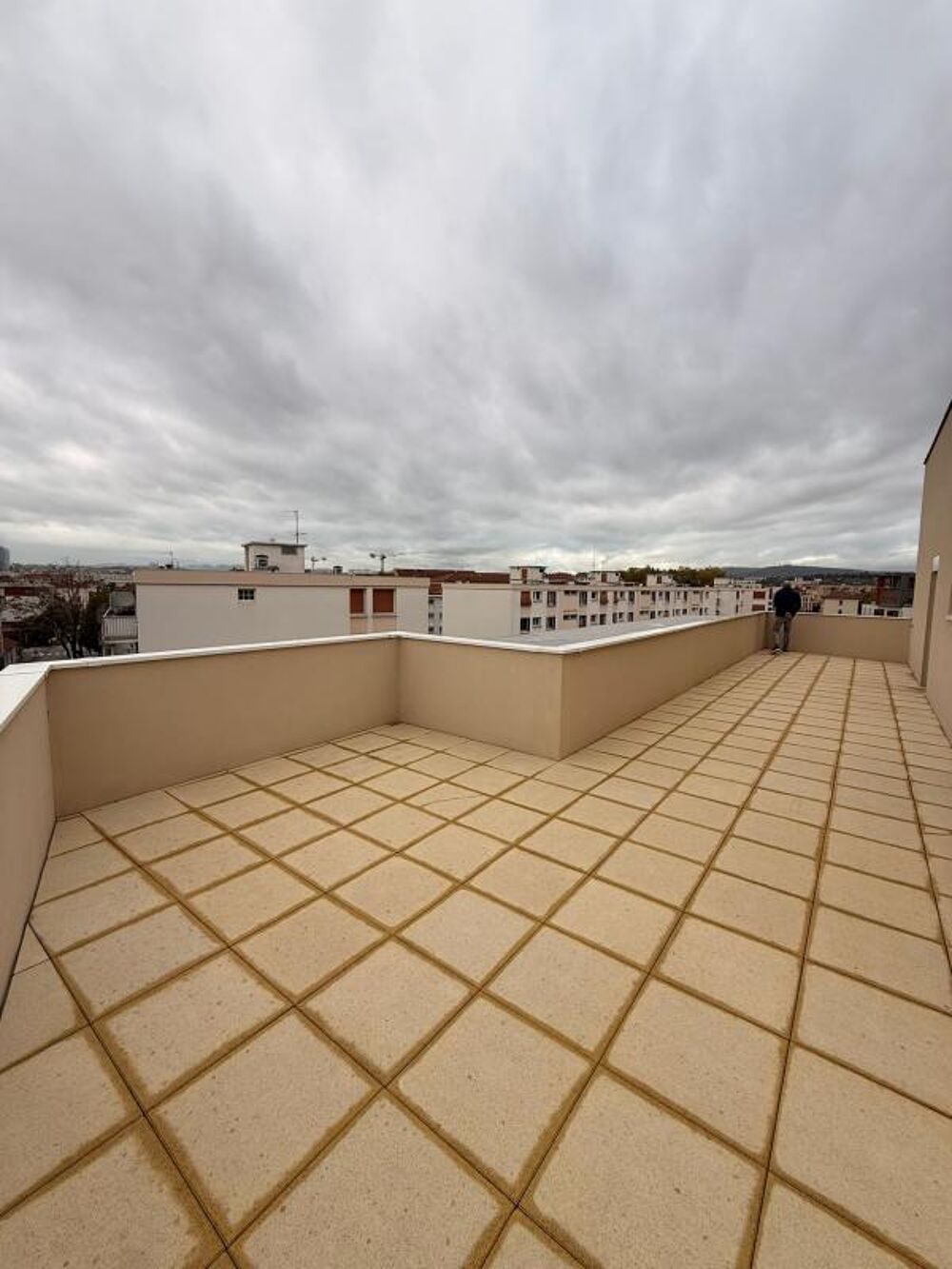   Villeurbanne (69100)