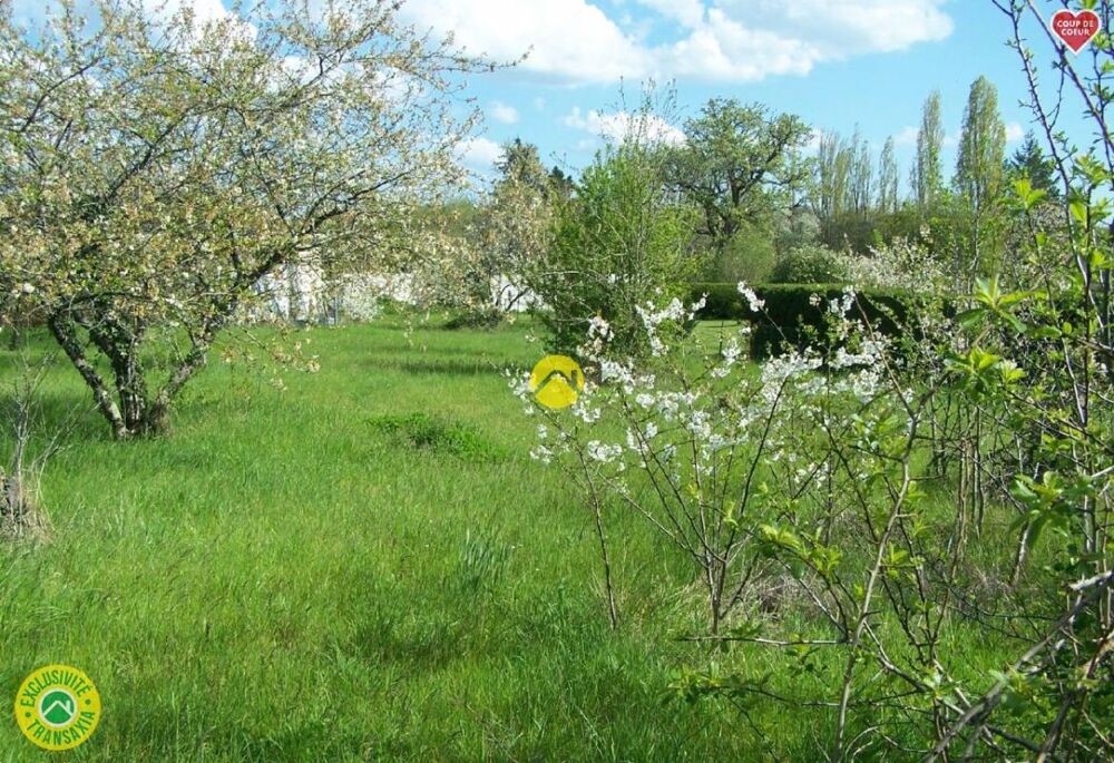 Vente Terrain TERRAIN DE LOISIRS C.U.POSITIF Saint florent sur cher